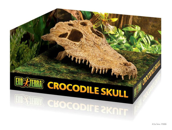 Exo Terra crocodile skull (escondite)