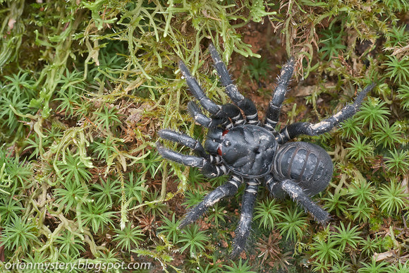 ARAÑA TRAMPERA DE ARMADURA NEGRA