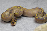 HIGHWAY MACHO ID:  7-15