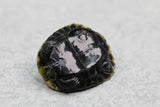 TORTUGA DE ESTANQUE JAPONES , CRIA