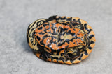 TORTUGA GEOFFREY SIDENECK , CRIA