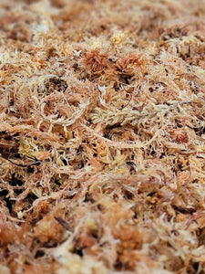 REPTILE PRO NEW ZEALAND SPHAGNUM MOSS 80 PULGS CUBICAS