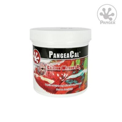 PANGEA CAL CALCIO SIN  D3 ( 85 GRAMOS)