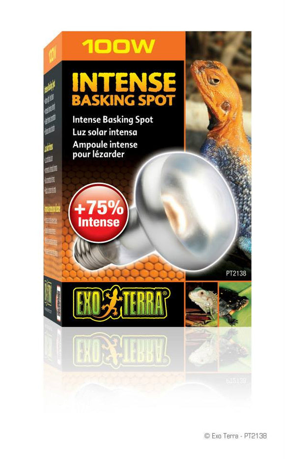 Exo Terra Intense Basking Spot Lamp 100W