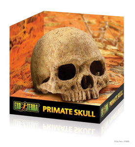 Exo Terra primate skull (escondite)