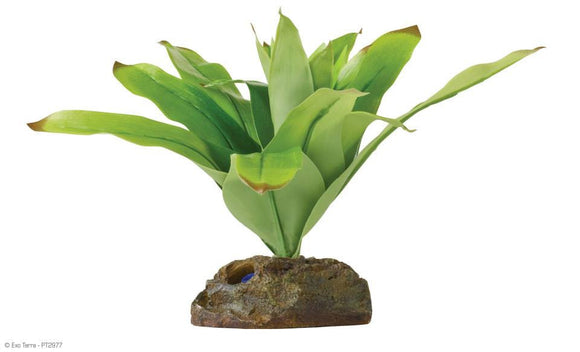Exo Terra smart plant small bromelia