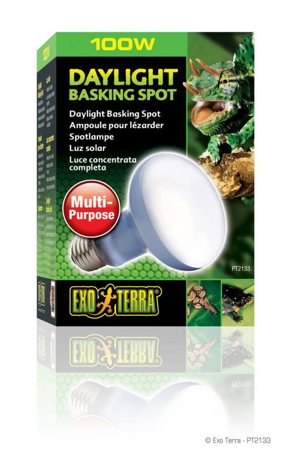 Exo Terra Daylight Basking Spot Lamp 100W