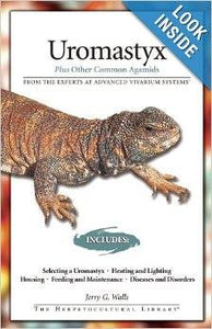 Uromastyx: Plus Other Common Agamids