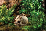 Exo Terra primate skull (escondite)
