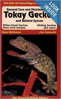 General Care and Maintenance of Tokay Geckos and Related Species
