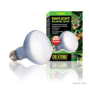 Exo Terra Daylight Basking Spot Lamp 75W