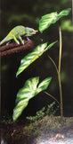 Exo Terra Dripper Plant Large ( Planta con Sistema de Cascada )