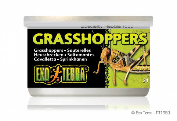 EXO TERRA GRASSHOPPERS ( SALTAMONTES ENLATDOS)