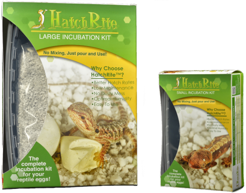 HATCHRITE  INCUBATION KIT LARGE