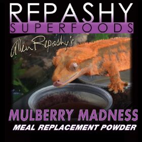 Repashy Crested Gecko MULBERRY MADNESS 3 OZ