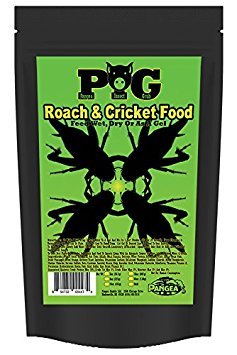 PANGEA ROACH AND CRICKET FOOD ( COMIDA PARA INSECTOS) 8 OZ