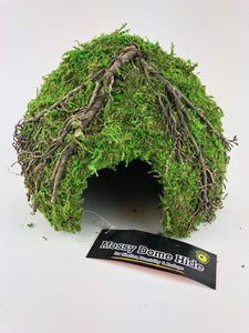 GALAPAGOS MOSSY DOME 6" ( 15 cm )