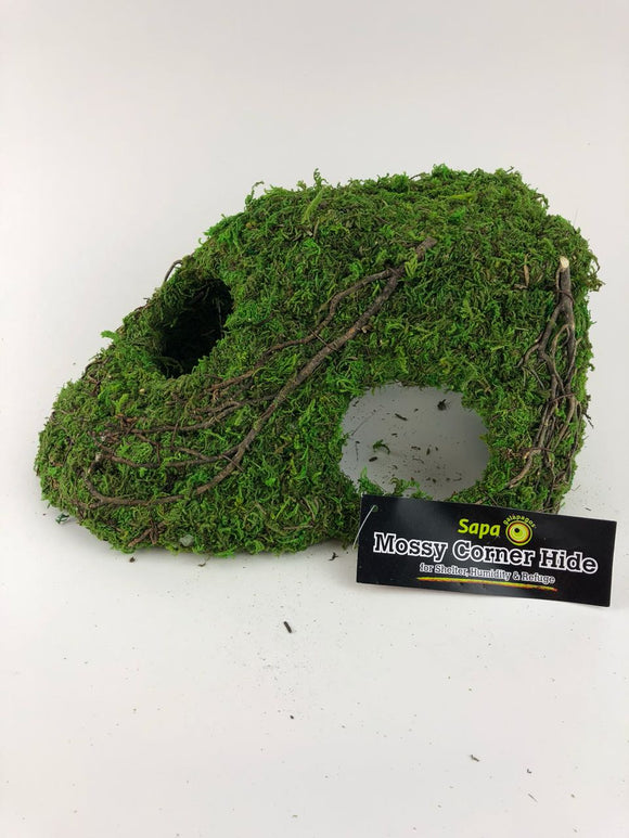 GALAPAGOS MOSSY CORNER HIDE