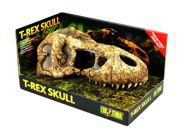 EXO TERRA T REX SKULL