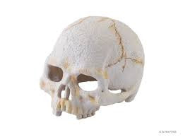 Exo Terra primate skull small (escondite)