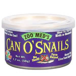 CARACOLES ENLATADOS ( CAN O SNAILS)